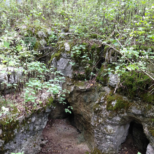 Barfield Park Trail 2