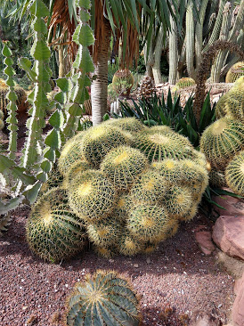 IMG_20181016_141636668_HDR